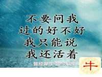 河北易用专用车辆有限公司