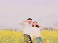 河北易用专用车辆有限公司