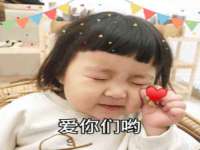 河北易用专用车辆有限公司