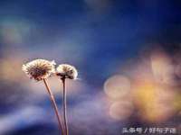 河北易用专用车辆有限公司