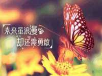 河北易用专用车辆有限公司