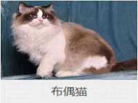 河北易用专用车辆有限公司