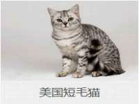 河北易用专用车辆有限公司