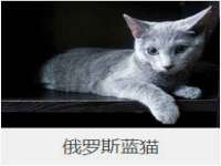 河北易用专用车辆有限公司