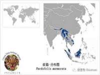 河北易用专用车辆有限公司