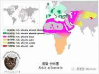 河北易用专用车辆有限公司