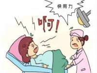 河北易用专用车辆有限公司
