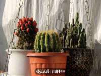 河北易用专用车辆有限公司
