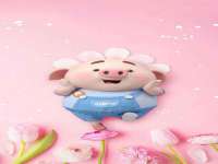 河北易用专用车辆有限公司