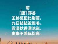 河北易用专用车辆有限公司
