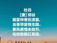 河北易用专用车辆有限公司