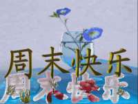 河北易用专用车辆有限公司