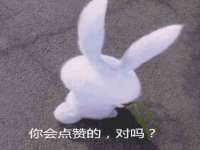 河北易用专用车辆有限公司