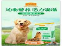 河北易用专用车辆有限公司