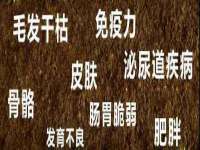 河北易用专用车辆有限公司