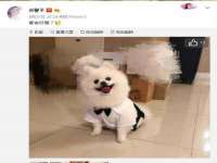 河北易用专用车辆有限公司