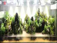 河北易用专用车辆有限公司
