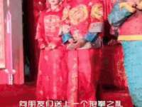 河北易用专用车辆有限公司