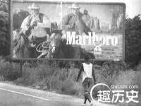 河北易用专用车辆有限公司
