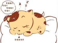 河北易用专用车辆有限公司