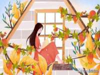 河北易用专用车辆有限公司