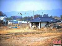 河北易用专用车辆有限公司