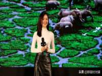 河北易用专用车辆有限公司