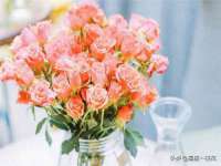 河北易用专用车辆有限公司