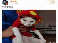 河北易用专用车辆有限公司