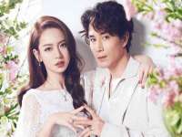 河北易用专用车辆有限公司