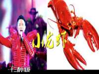 河北易用专用车辆有限公司