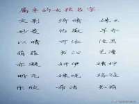 河北易用专用车辆有限公司